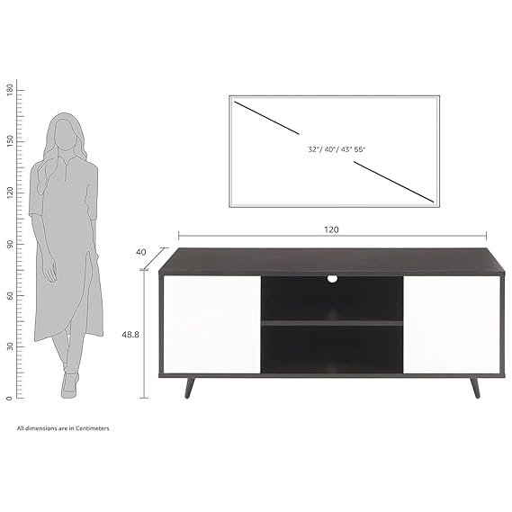 Callas Engineered Wood TV Entertainment Unit for Living Room | Modern TV Cabinet with Shelves & Storage | Set Top Box Stand & Display Unit (Black, TV-08)