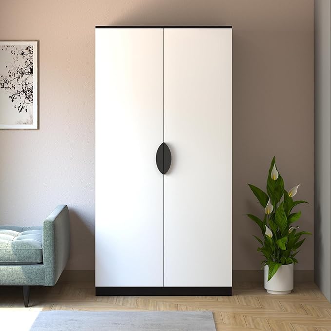 Callas 2 Door Engineered Wood Wardrobe | Modern Bedroom Storage Cabinet with Lock & Shelves | Compact Almirah for Clothes, Accessories & Home Organization (WD-01-Black)