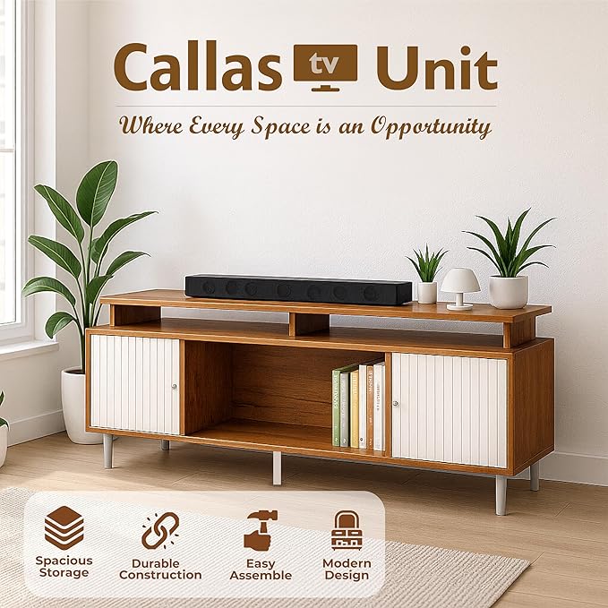 Callas Engineered Wood TV Entertainment Unit for Living Room | Modern TV Cabinet with Shelves & Storage | Set Top Box Stand & Display Unit (Walnut, TV-22)